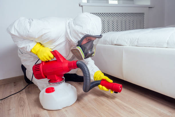 Best Insect Control  in North Brooksville, FL
