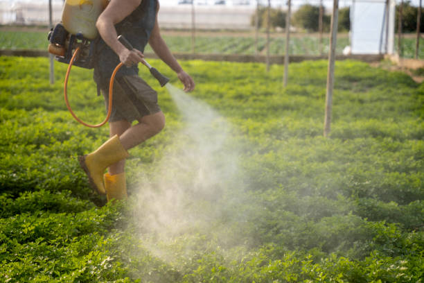 Pest Control Cost in North Brooksville, FL
