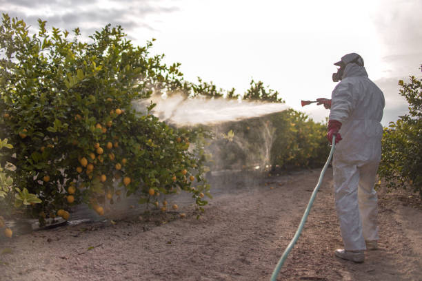 Best Local Pest Control Services  in North Brooksville, FL