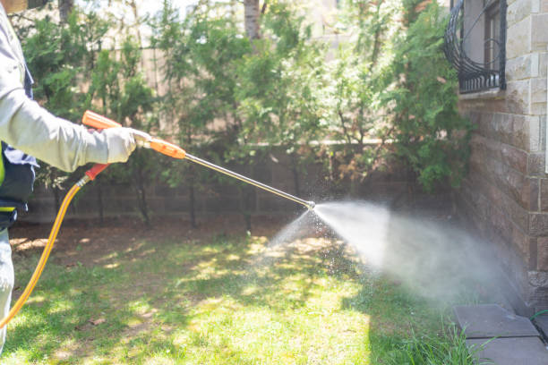 Best Emergency Pest Control  in North Brooksville, FL