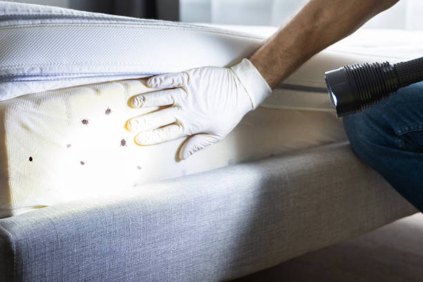 Best Pest Inspection Near Me  in North Brooksville, FL