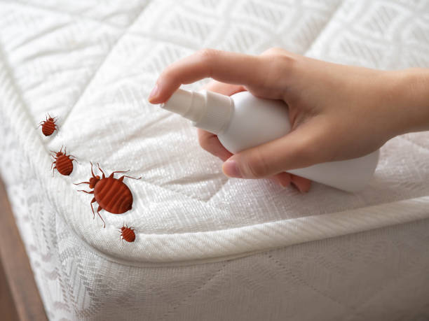 Best Mosquito Control Services  in North Brooksville, FL