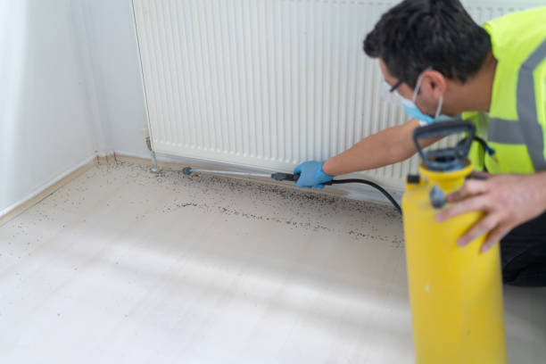 Best Flea Control Services  in North Brooksville, FL